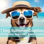 Dog Summer Captions