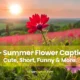 Summer flower captions