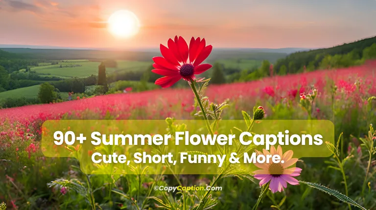 Summer flower captions