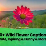 Wild-Flower-Captions-for-Instagram