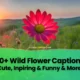 Wild-Flower-Captions-for-Instagram