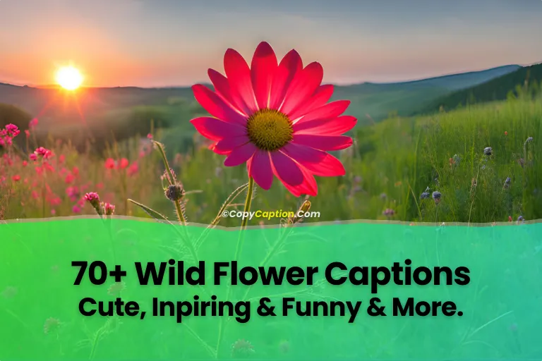 Wild-Flower-Captions-for-Instagram